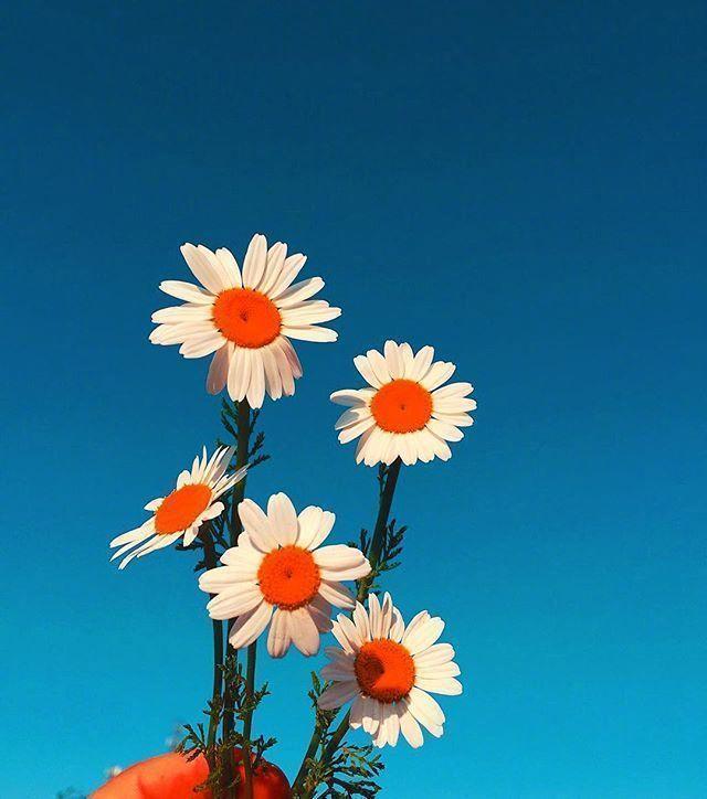 早上正能量朋友圈短句 早上正能量朋友圈短句