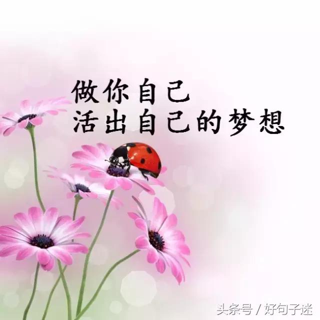 正能量语录句子迷