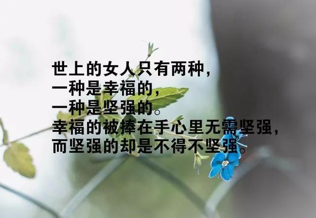 致自己励志短句霸气(微语录每天一句正能量)