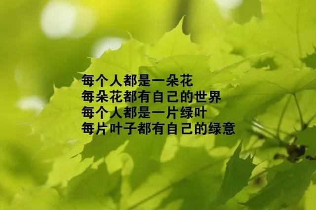 致自己励志短句霸气(微语录每天一句正能量)