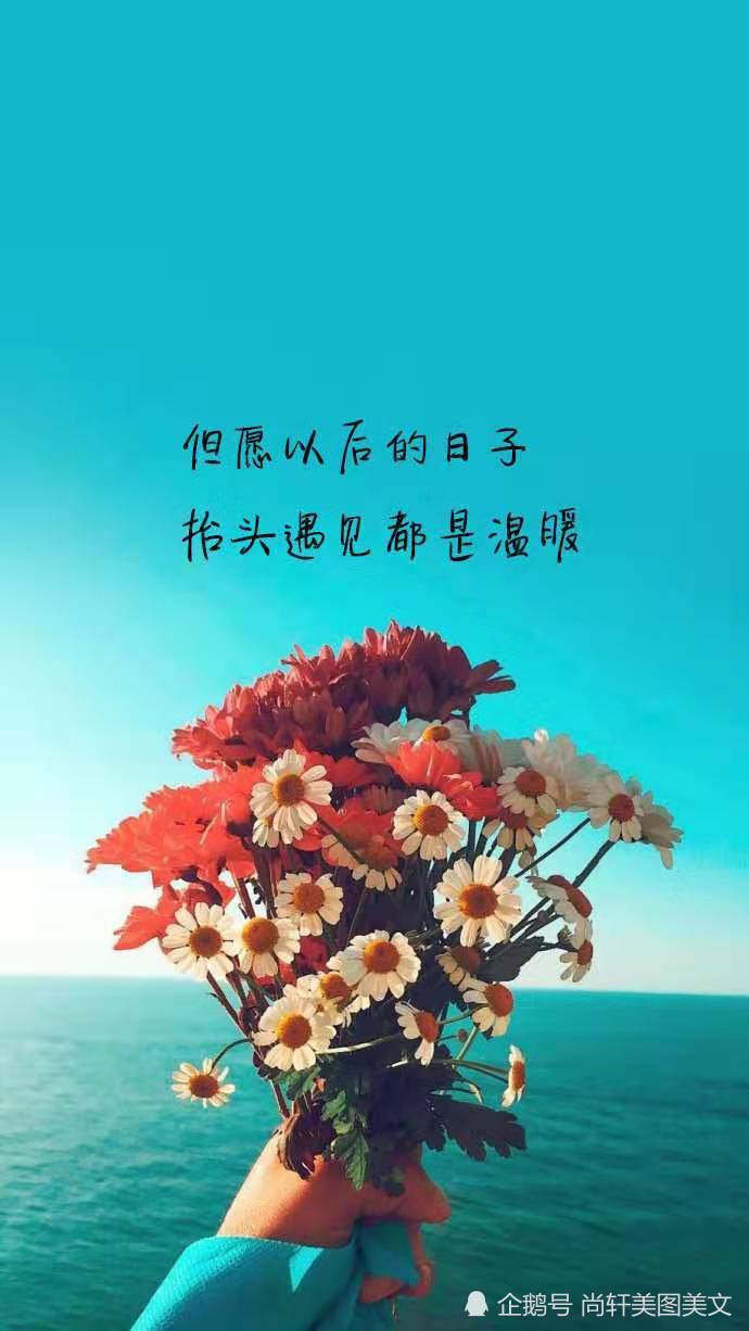 优美励志短句【心灵鸡汤经典语录励志】