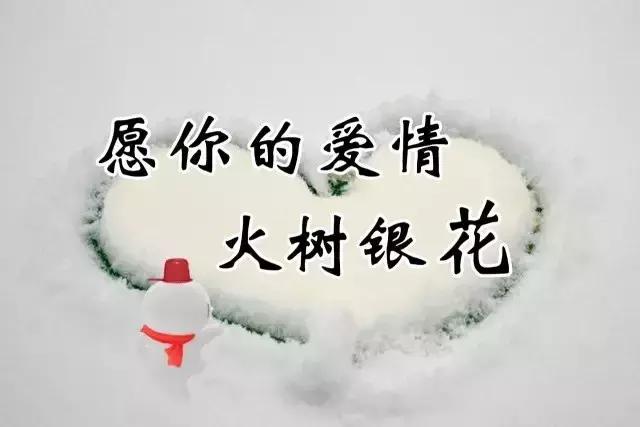 天气暖和的句子(关于温度的唯美句子)