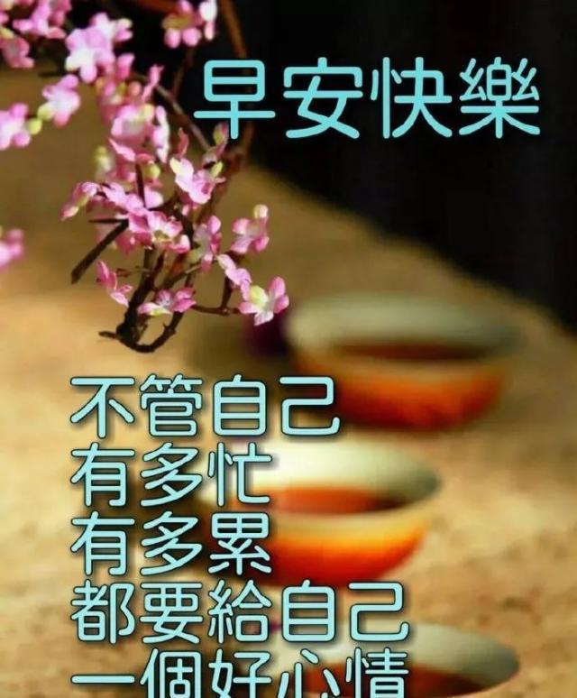 搞笑阳光幽默正能量的句子【开心幽默正能量的句子】