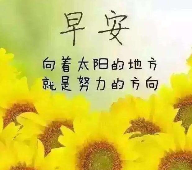 励志话语正能量一段话200字(励志总结200字左右)