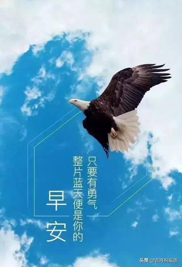 每天一段清晨励志语录配图(早上贴心问候的句子)