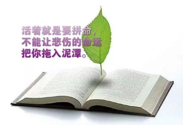 可以分享的正能量话题(正能量分享句子简单的)