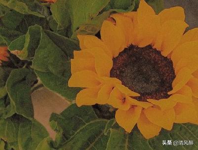 拿驾照发朋友圈的幽默句子 拿驾照发朋友圈的幽默句子