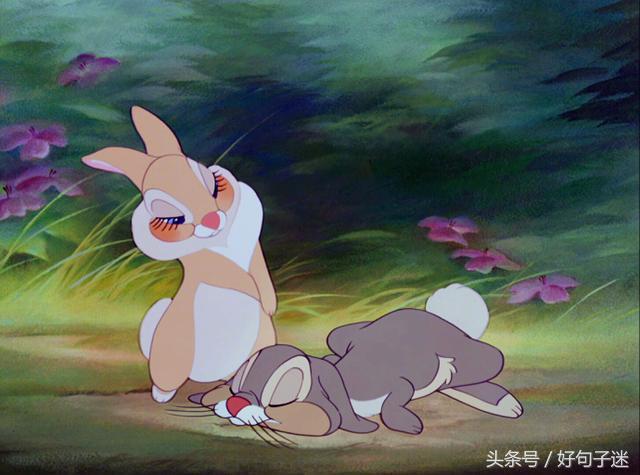 幽默风趣的句子说说心情 幽默风趣的句子说说心情