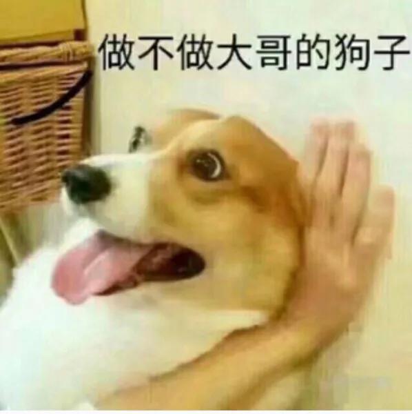 销售幽默风趣高情商的俏皮句子 销售幽默风趣高情商的俏皮句子