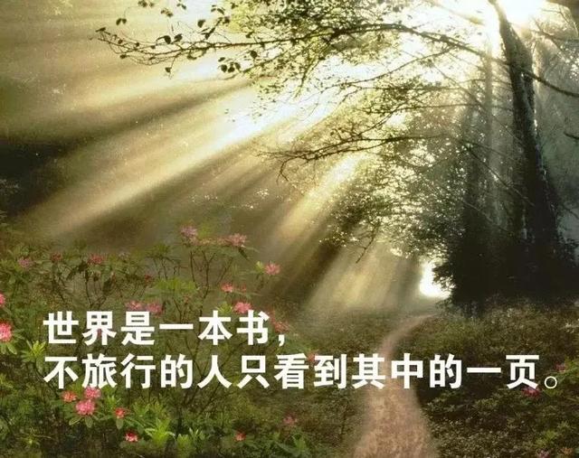 充满正能量的早晨好句(早晨运动正能量句子)