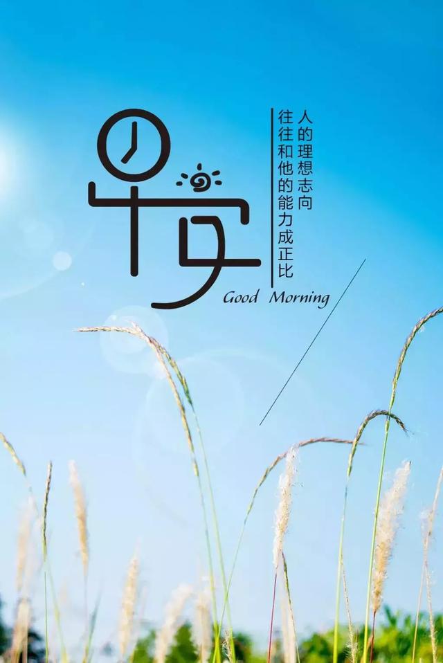 星期一励志正能量句子(周一团队正能量的话语)