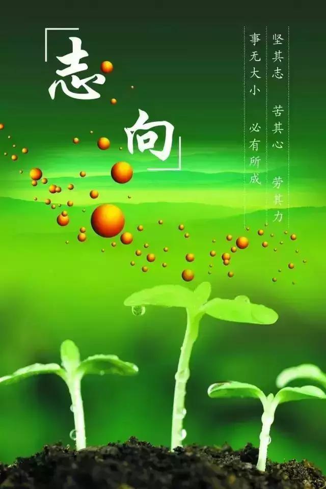 星期一励志正能量句子(周一团队正能量的话语)