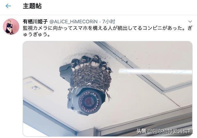 关于成长的幽默句子 关于成长的幽默句子
