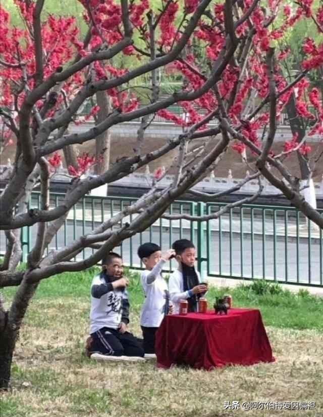 关于成长的幽默句子 关于成长的幽默句子