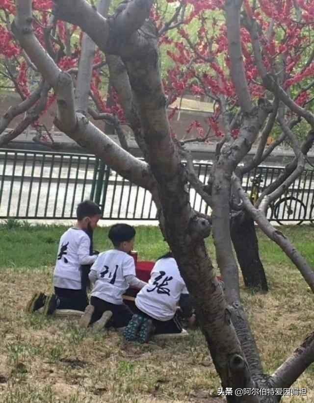 关于成长的幽默句子 关于成长的幽默句子