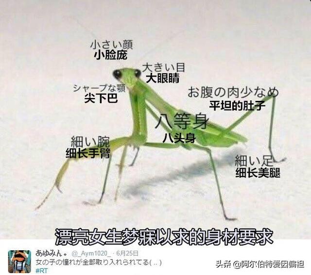关于成长的幽默句子 关于成长的幽默句子