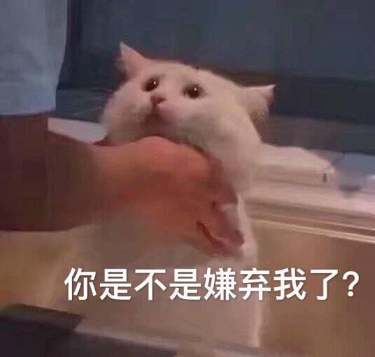 自己玩嗨的幽默句子 自己玩嗨的幽默句子