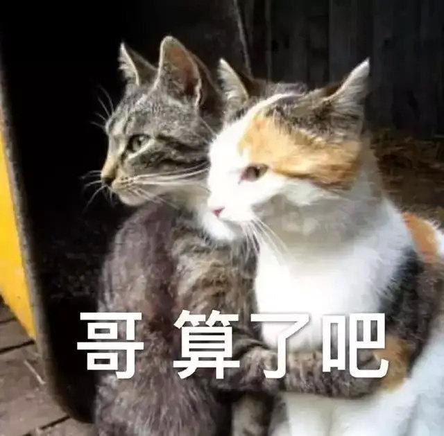 自己玩嗨的幽默句子 自己玩嗨的幽默句子