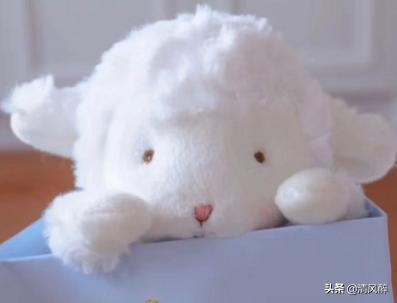 很幽默很搞笑的句子 很幽默很搞笑的句子