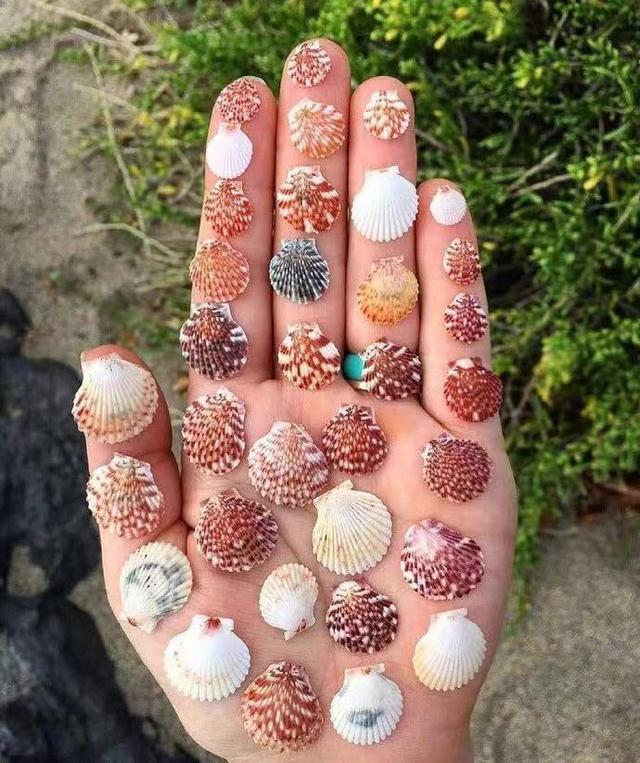 调侃自己的幽默句子一单一双眼皮 调侃自己的幽默句子一单一双眼皮