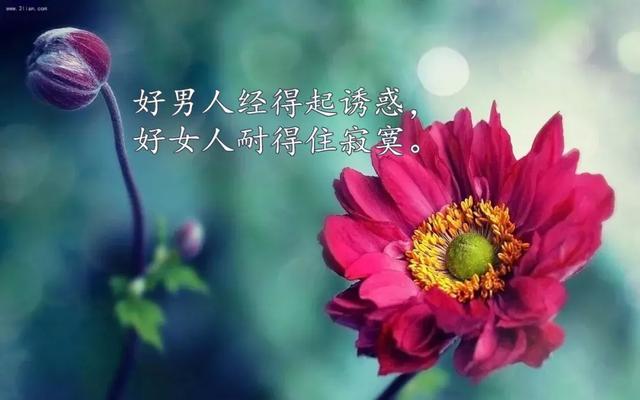 中秋节正能量句子(帮助别人正能量的句子)