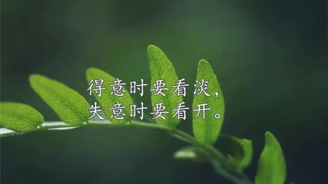 中秋节正能量句子(帮助别人正能量的句子)