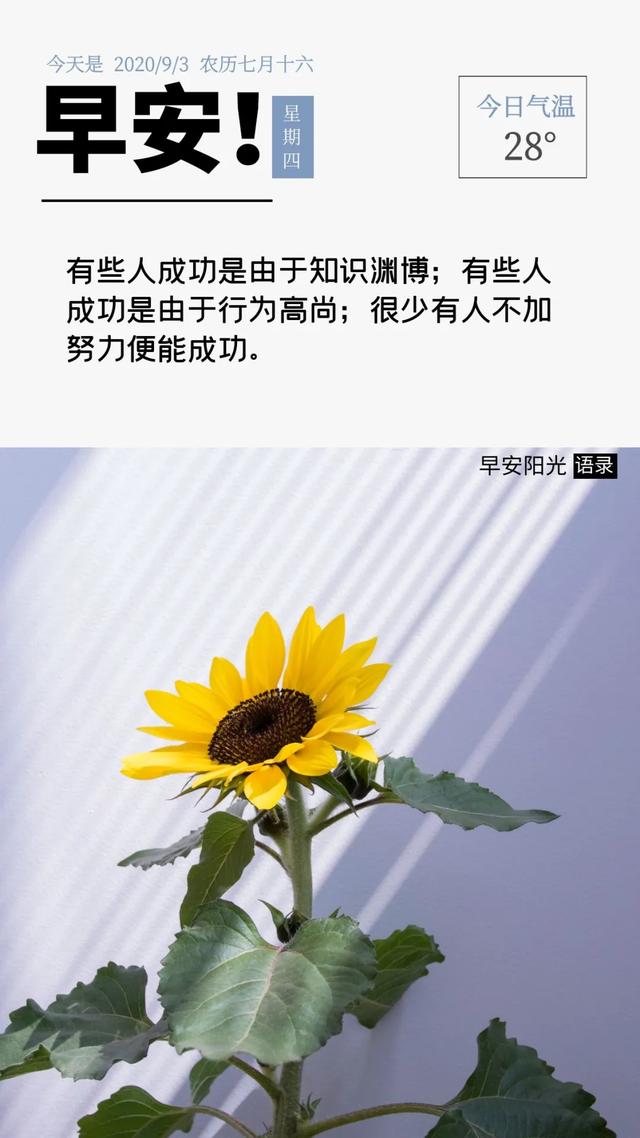 花开花落的正能量句子(赞美花开花落的句子)