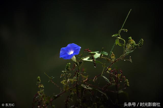 吃苦励志的句子(坚持吃苦励志语录)