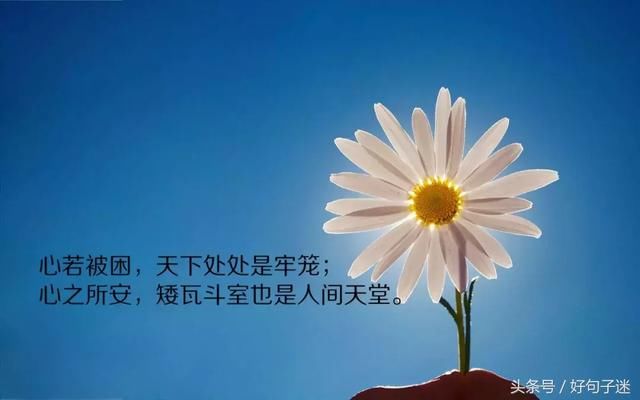 关于时间的句子励志的(打钟日励志句子)
