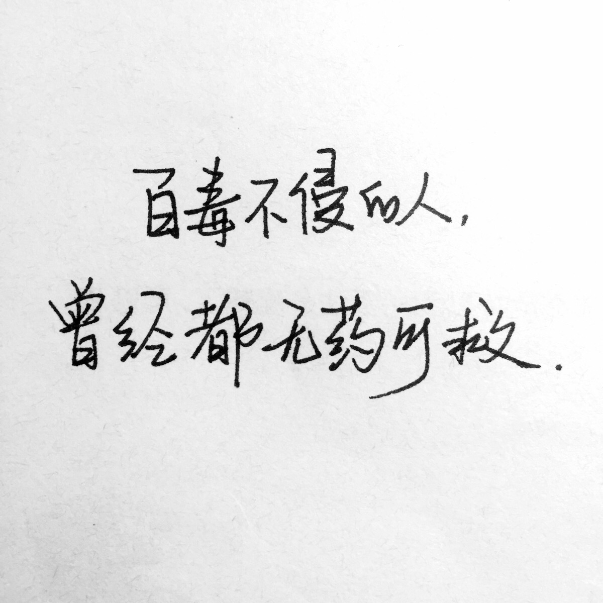 励志的句子八个字(12个字的唯美句子励志)