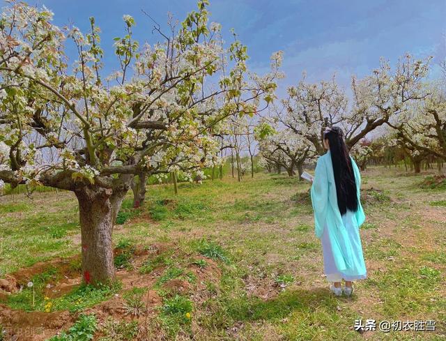 清明节唯美短句 清明节唯美短句