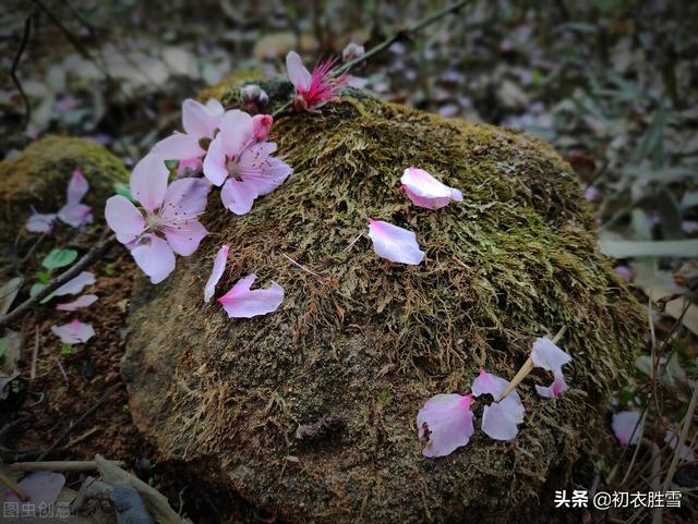 清明节唯美短句 清明节唯美短句