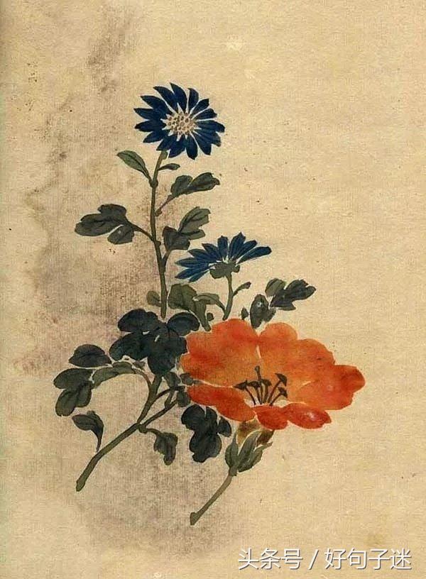 唯美的古风短句 唯美的古风短句