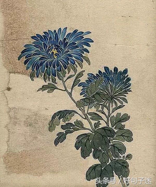 唯美的古风短句 唯美的古风短句