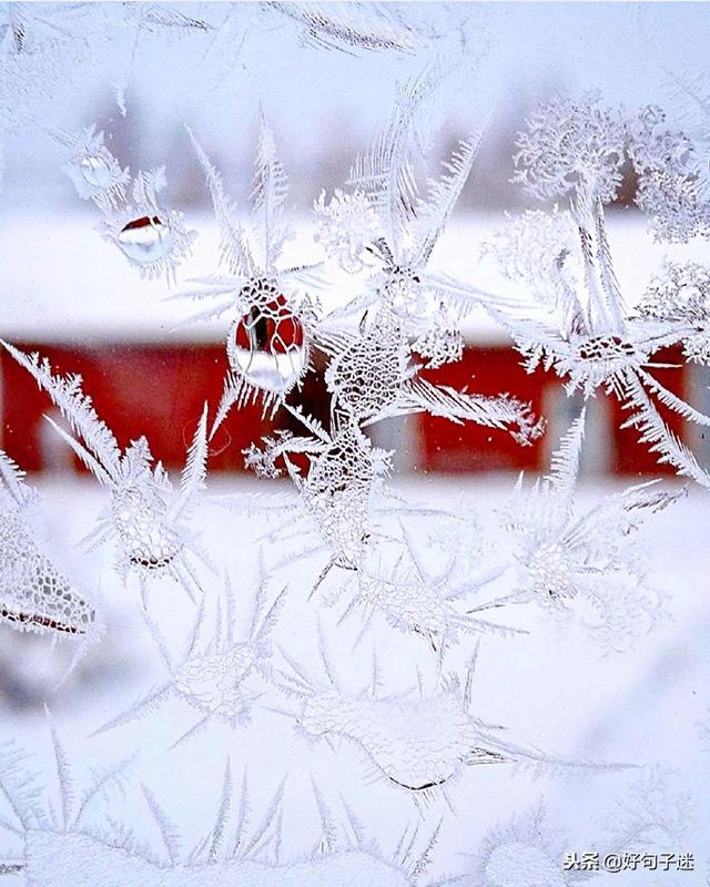 下雪的唯美短句 下雪的唯美短句