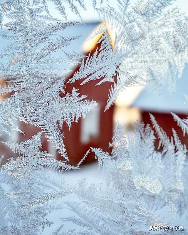 下雪的唯美短句 下雪的唯美短句