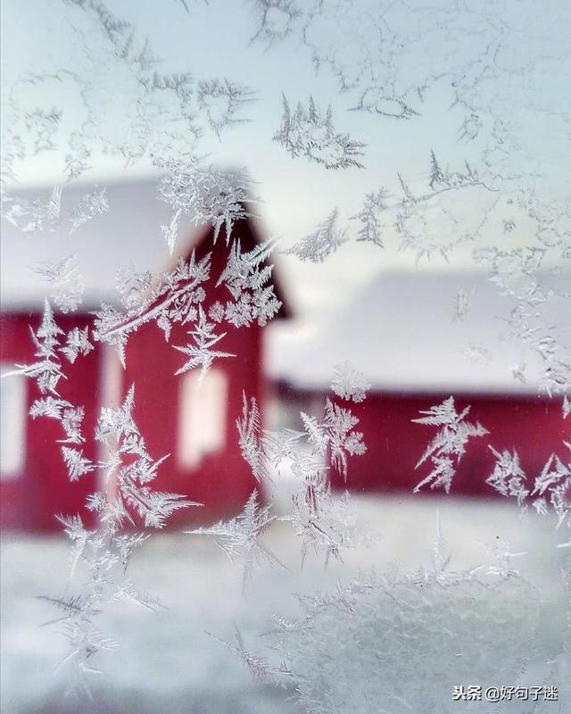 下雪的唯美短句 下雪的唯美短句