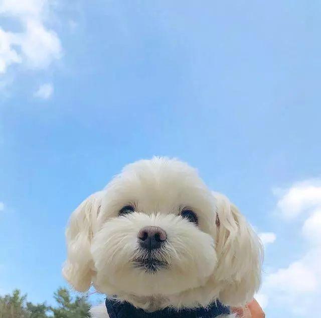 短句唯美句子 短句唯美句子