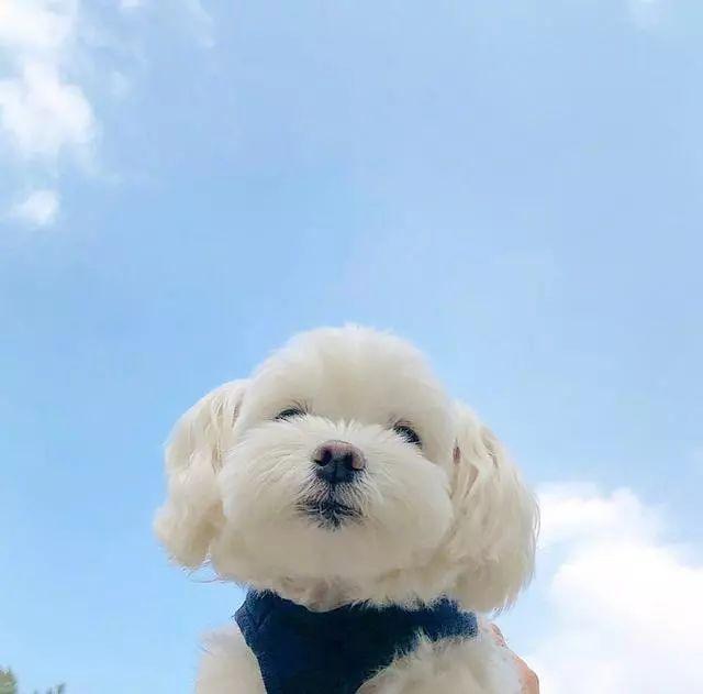 短句唯美句子 短句唯美句子