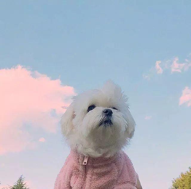 短句唯美句子 短句唯美句子
