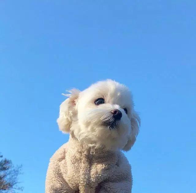 短句唯美句子 短句唯美句子