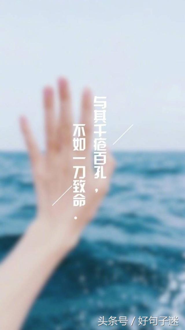爱情句子的图片 爱情句子的图片