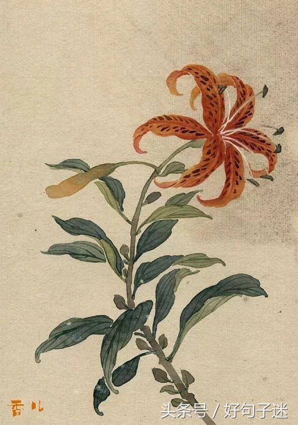 唯美古风短句