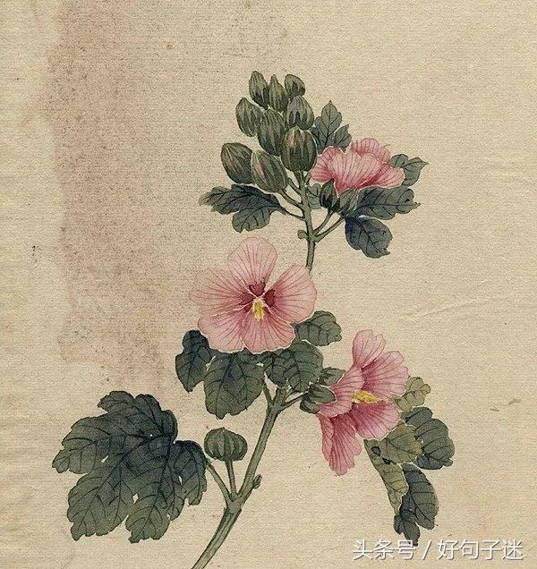 唯美古风短句