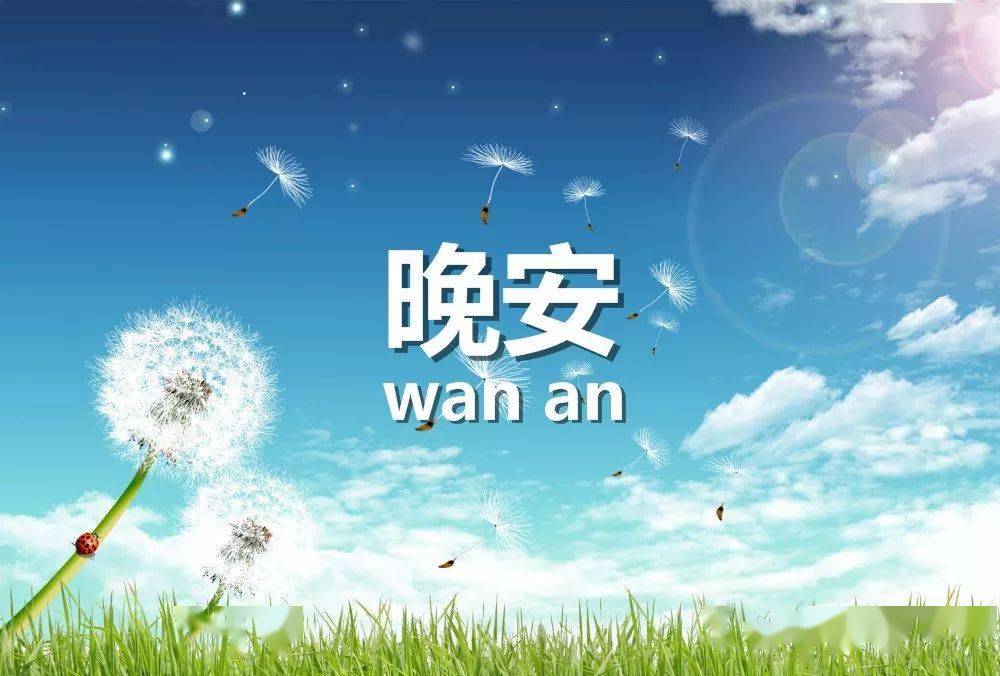 晚上好最美短句【夜晚暖心唯美句子】