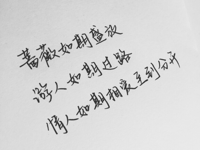 爱情精美句子摘抄_(古爱情诗句大全摘抄)