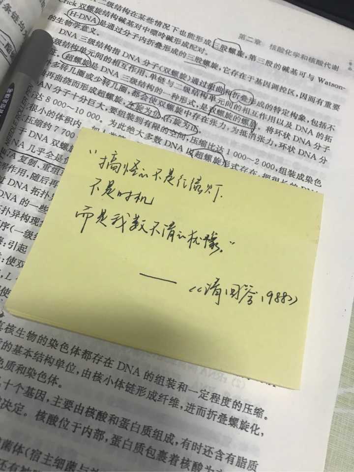 爱情精美句子摘抄_(古爱情诗句大全摘抄)