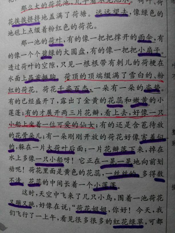 优美的句子摘抄简短15个字_(经典美句摘抄短句)