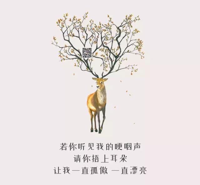 形容对一个人失望和心凉的句子 形容对一个人失望和心凉的句子