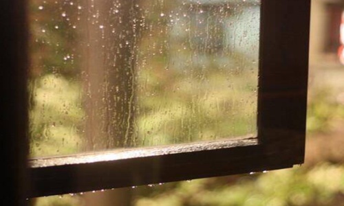 下雨天表白的句子(雨中的表白)